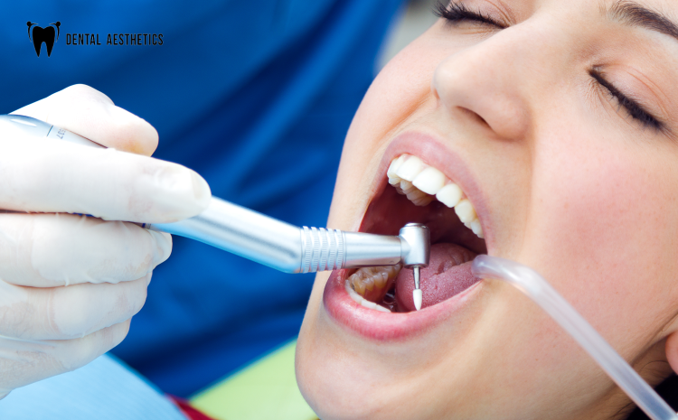 oral cavity